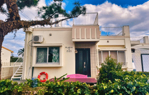 japan-sea-turtle-conservation-volunteering-in-okinawa-42