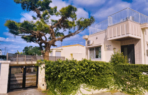 japan-sea-turtle-conservation-volunteering-in-okinawa-43