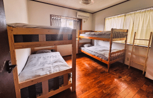 japan-sea-turtle-conservation-volunteering-in-okinawa-45