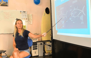 japan-sea-turtle-conservation-volunteering-in-okinawa-47