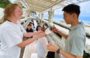 japan-sea-turtle-conservation-volunteering-in-okinawa-48