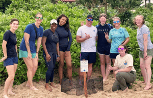 japan-sea-turtle-conservation-volunteering-in-okinawa-5
