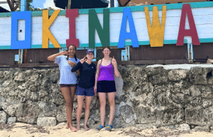 japan-sea-turtle-conservation-volunteering-in-okinawa-51