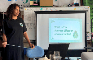 japan-sea-turtle-conservation-volunteering-in-okinawa-52