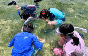 japan-sea-turtle-conservation-volunteering-in-okinawa-53