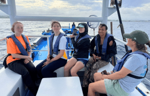 japan-sea-turtle-conservation-volunteering-in-okinawa-8