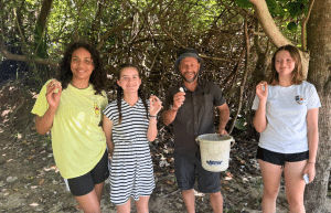 japan-sea-turtle-conservation-volunteering-in-okinawa-9