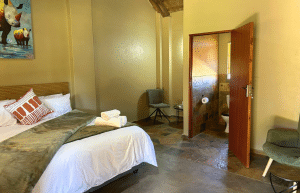 south-africa-lion-tiger-rescue-wildlife-sanctuary-10