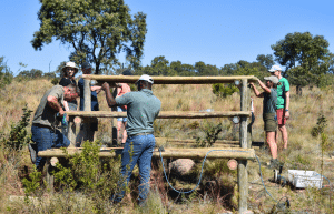 south-africa-lion-tiger-rescue-wildlife-sanctuary-12