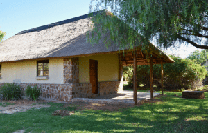 south-africa-lion-tiger-rescue-wildlife-sanctuary-13