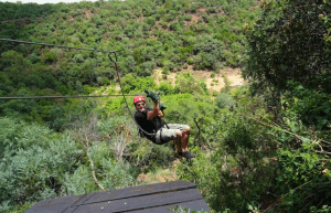 south-africa-lion-tiger-rescue-wildlife-sanctuary-2