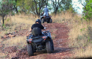 south-africa-lion-tiger-rescue-wildlife-sanctuary-21