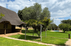 south-africa-lion-tiger-rescue-wildlife-sanctuary-3