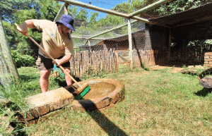 south-africa-lion-tiger-rescue-wildlife-sanctuary-40