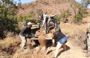 south-africa-lion-tiger-rescue-wildlife-sanctuary-45