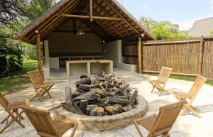 south-africa-lion-tiger-rescue-wildlife-sanctuary-46