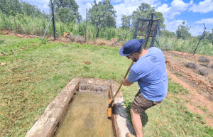 south-africa-lion-tiger-rescue-wildlife-sanctuary-48