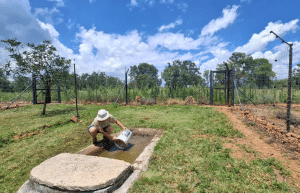 south-africa-lion-tiger-rescue-wildlife-sanctuary-49