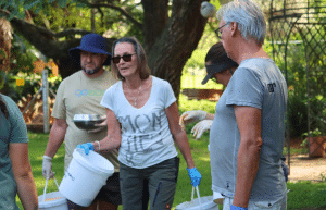 south-africa-lion-tiger-rescue-wildlife-sanctuary-50