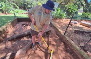 south-africa-lion-tiger-rescue-wildlife-sanctuary-51