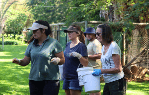 south-africa-lion-tiger-rescue-wildlife-sanctuary-52