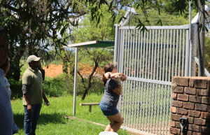 south-africa-lion-tiger-rescue-wildlife-sanctuary-53