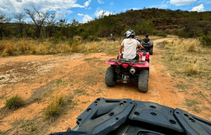 south-africa-lion-tiger-rescue-wildlife-sanctuary-7