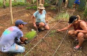 sea-turtle-conservation-eco-community-living-1