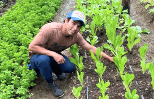 sea-turtle-conservation-eco-community-living-2