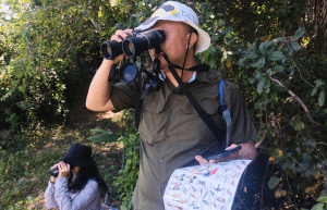 sea-turtle-conservation-eco-community-living-22