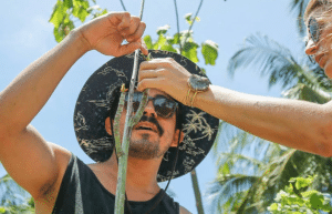 sea-turtle-conservation-eco-community-living-26