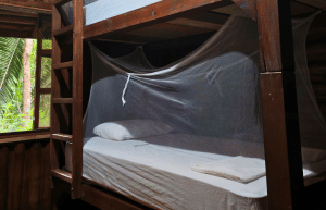 sea-turtle-conservation-eco-community-living-31