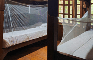 sea-turtle-conservation-eco-community-living-34