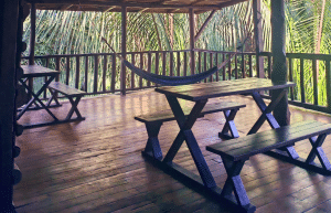 sea-turtle-conservation-eco-community-living-35