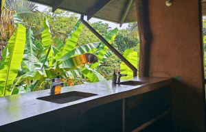 sea-turtle-conservation-eco-community-living-36