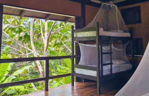 sea-turtle-conservation-eco-community-living-38