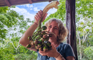 sea-turtle-conservation-eco-community-living-4