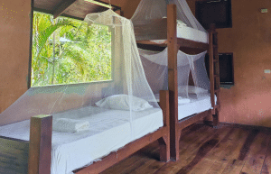 sea-turtle-conservation-eco-community-living-40