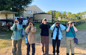 south-africa-pre-veterinary-internship-&-safari-experience-16