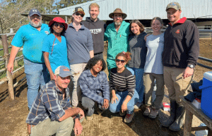 south-africa-pre-veterinary-internship-&-safari-experience-2