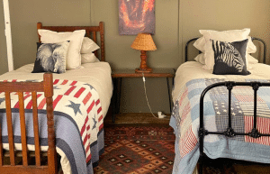 south-africa-pre-veterinary-internship-&-safari-experience-21