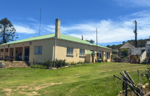 south-africa-pre-veterinary-internship-&-safari-experience-22