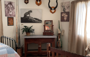 south-africa-pre-veterinary-internship-&-safari-experience-27