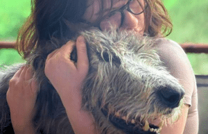 south-africa-pre-veterinary-internship-&-safari-experience-33