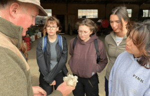 south-africa-pre-veterinary-internship-&-safari-experience-34