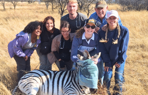 south-africa-pre-veterinary-internship-&-safari-experience-46