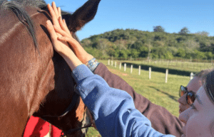south-africa-pre-veterinary-internship-&-safari-experience-47