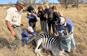 south-africa-pre-veterinary-internship-&-safari-experience-49