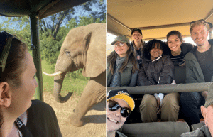 south-africa-pre-veterinary-internship-&-safari-experience-52