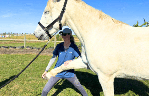 south-africa-pre-veterinary-internship-&-safari-experience-8